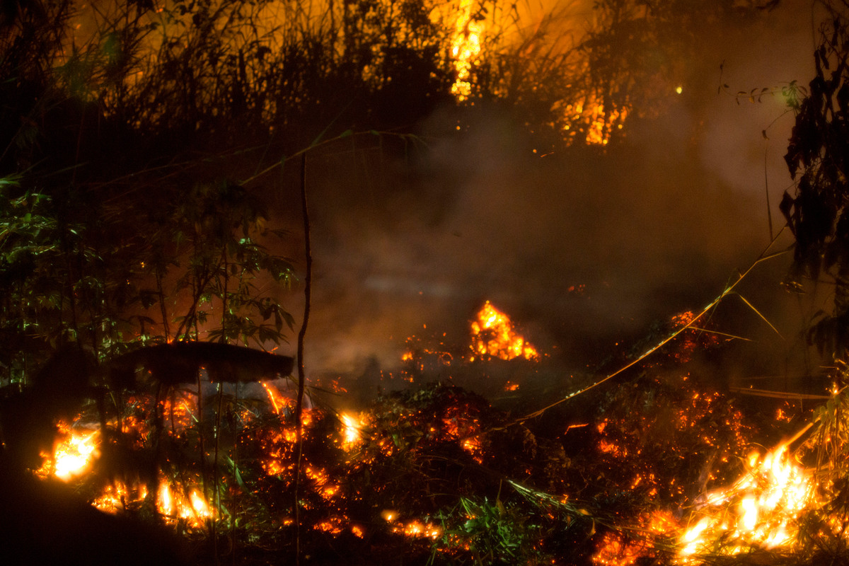 UK Government: Declare a Climate Emergency